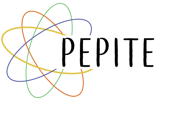 PEPITE, un parcours de 5 modules